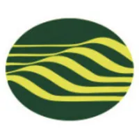BUMI
