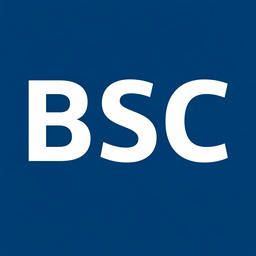 BSX