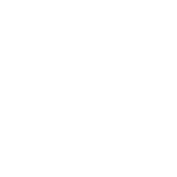 AIP