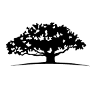 DXJ