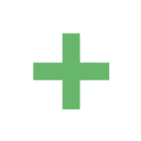 SES