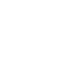SI