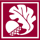 STBI